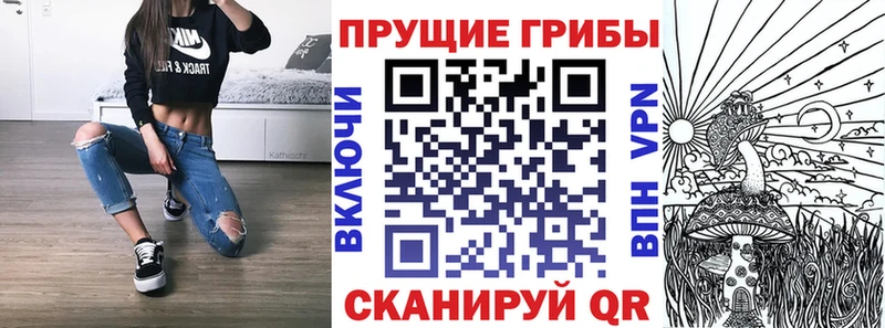 Псилоцибиновые грибы Cubensis что такое Неман